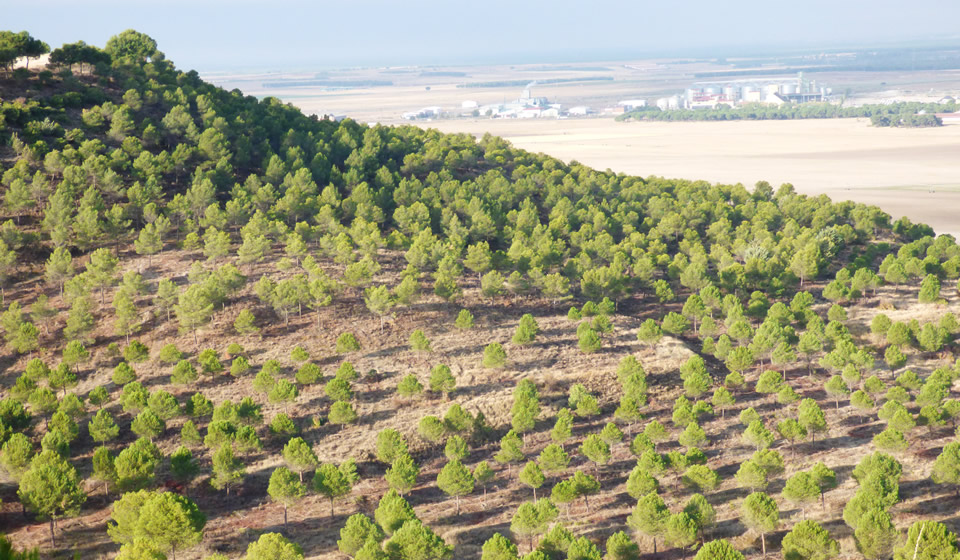 Grupo K ) Especiales